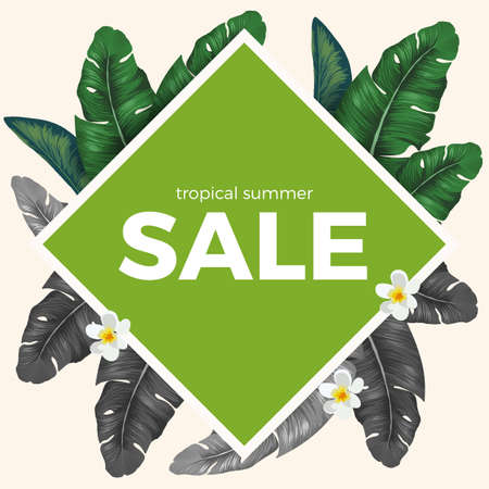 Summer sale with tropical palm leaves and white Plumeria flowersのイラスト素材