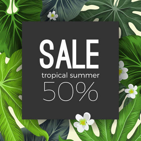 Special summer sale card with exotic plants on backgroundのイラスト素材