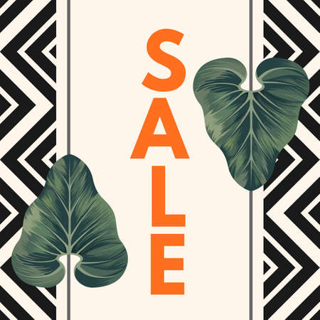 Sale poster with two Alocasia Zulu Mask leavesのイラスト素材