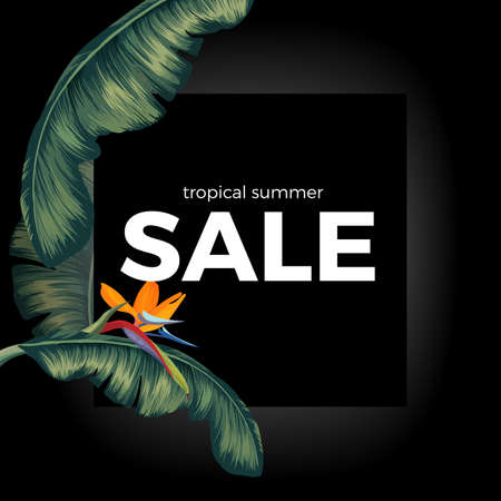 Tropic summer night sale on black with Spathiphyllum leavesのイラスト素材