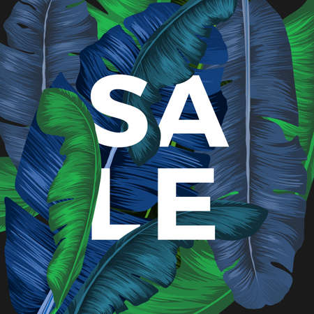 Sale inscription hidden in palm tree leaves seasonal promotionのイラスト素材