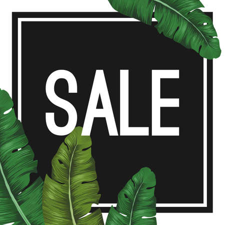 Sale tropical summer poster with jungle leaves in black squareのイラスト素材