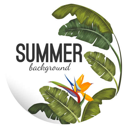 Summer background with tropical leaves and flower vectorのイラスト素材