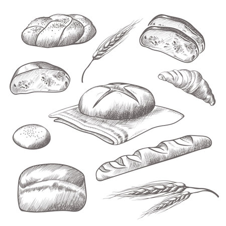 Collection of hand drawn icons of bareky products isolated illustrationのイラスト素材