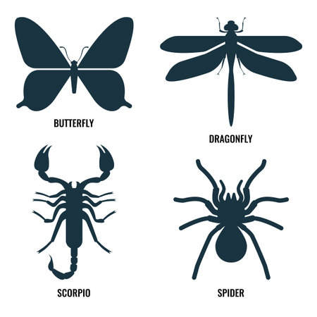 Set of insect bug icons collection.のイラスト素材