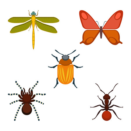 Collection of bugs and insects on vector illustrationのイラスト素材