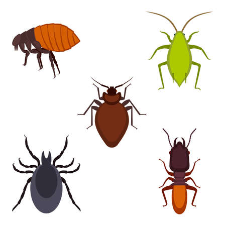Collection of colorful bug icons on vector illustrationのイラスト素材