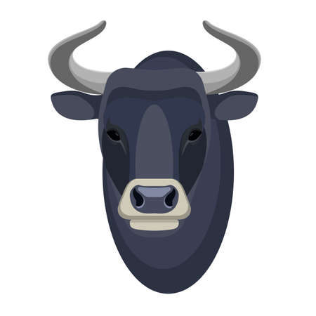 Bull head realistic icon muscular and aggressive male of cowのイラスト素材