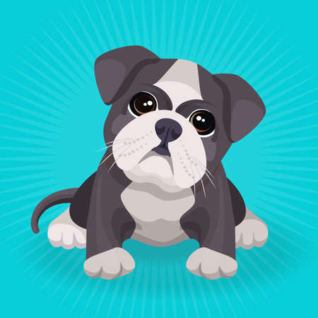 Bulldog puppy cute toy in white and beige color vectorのイラスト素材