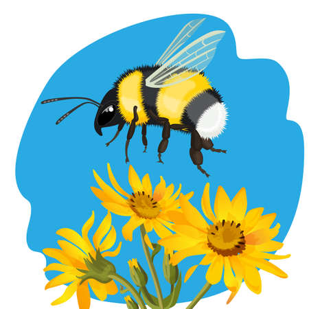 Bumble bee flying over yellow flowers on background of skyのイラスト素材