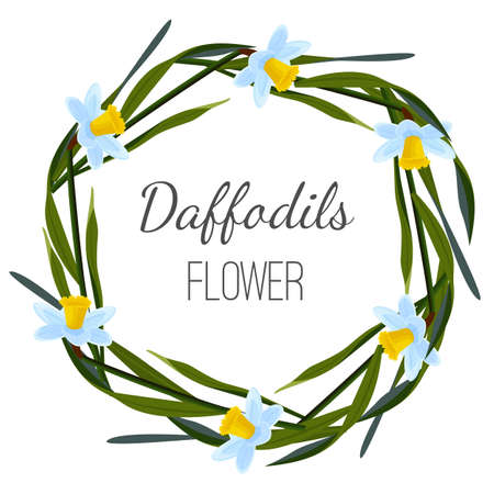 Daffodils flower poster with wreath of wild flowersのイラスト素材