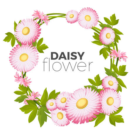 Daisy flowers frame with pink blossoms and green leaves vectorのイラスト素材
