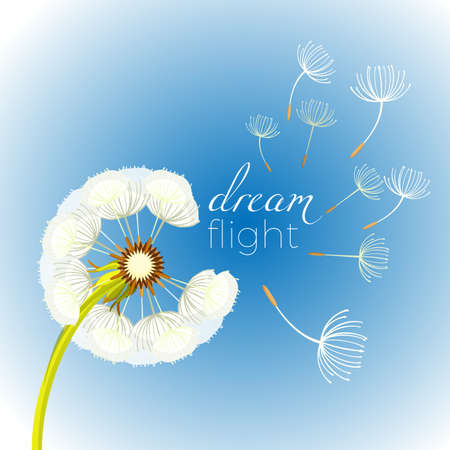 Blowing dandelion flower with fragile flying parts on green stemのイラスト素材