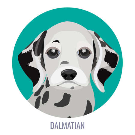 Dalmatian puppy in green circle vector illustration with textのイラスト素材