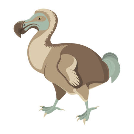 Big exotic dodo bird with short wings and fluffy tailのイラスト素材