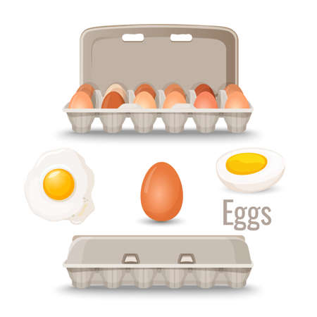 Eggs in shell inside cardboard container and cooked.のイラスト素材