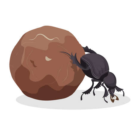 Big dung beetle that pushes big dirty ball. Small strong bug that collects mug. Funny creature from fauna world isolated cartoon flat vector illustration.のイラスト素材