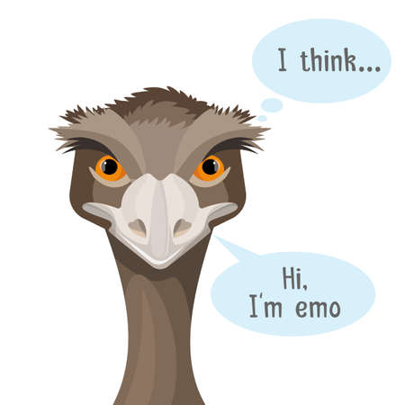 Emu isolated on white background with speech bubblesのイラスト素材
