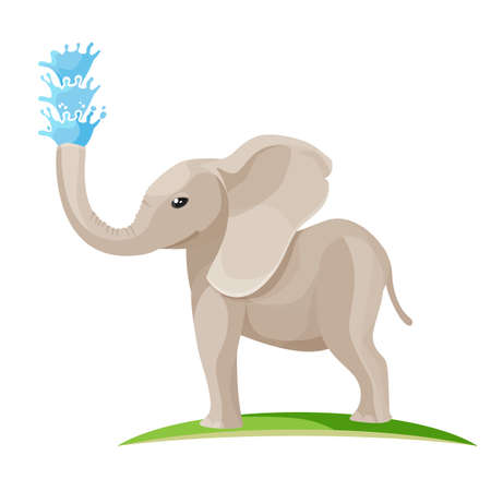 Young baby elephant blows water out of trunkのイラスト素材