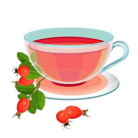 Tea with rose hips in transparent glass and saucerのイラスト素材