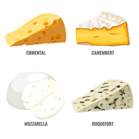 Emmental camembert mozzarella and roquefort collection of cheesesのイラスト素材