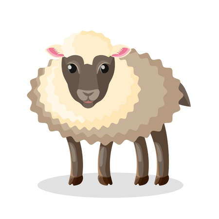 Adorable fluffy baby sheep with dark soft wool. Domestic animal with dark eyes and hooves. Farm pet with thick fur isolated cartoon vector illustration.のイラスト素材