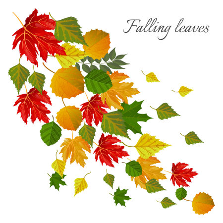 Falling leaves autumn seasonal postcard with foliage that falls downのイラスト素材