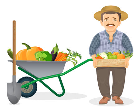 Farmer with harvest in metal cart and wooden boxのイラスト素材