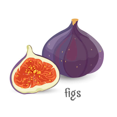 Figs whole and cut healthy organic fruit with seedsの写真素材