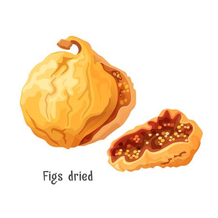 Figs dried tasty product icon. Slice of fleshy pear-shaped fruit with sweet dark flesh and many small seeds. Meal ingredient isolated on vector illustrationのイラスト素材
