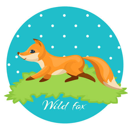 Pretty wild fox isolated on white vector, orange fur with bright spots of tail and abdomen, abstract nightscape and meadow with green grass on backgroundのイラスト素材