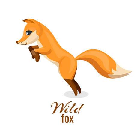 Wild fox, cheerful animal with orange fur vectorのイラスト素材