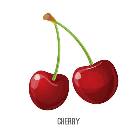 Red cherry vector illustration isolated on white. Juicy and sweet tiny fruit for dessert. Poster for shop or store grocery list. Sweet ripe berries iconのイラスト素材