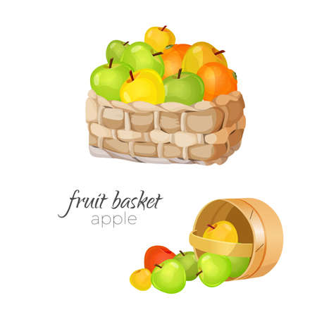 Straw wicker fruit basket. Ripe and ruddy summer apple heap. Yellow and red, green fruitage, rolled out bucket idolated vector illustration with text on whiteのイラスト素材