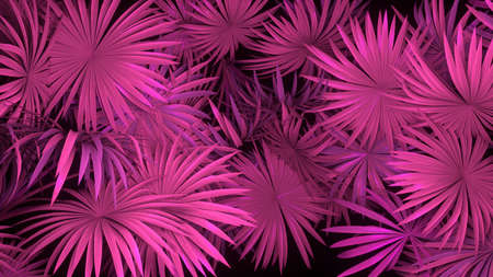 3d render of neon palm leaves on blackの写真素材