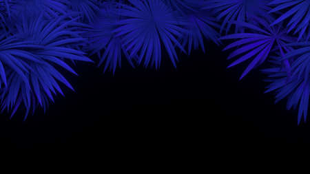 3d render of neon palm leaves on blackの写真素材