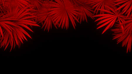 3d render of neon palm leaves on blackの写真素材