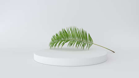 Interior podium place. Blank decoration template for design.の写真素材