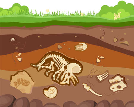 Soil ground layers with buried fossil animals, dinosaur, crustaceans and bones.のイラスト素材