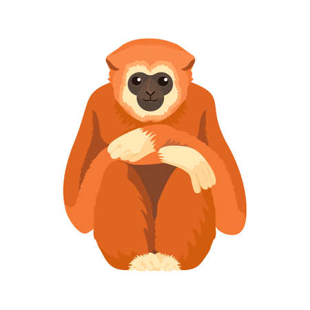 Gibbon primate mammal. Monkey in wildlife.のイラスト素材