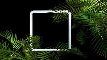 Tropical palm plant leaf on black background. Nature summer illustration. 3D renderの写真素材