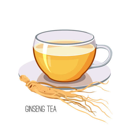 Ginseng tea. Health herb food medicine concept on white background. Vector illustrationのイラスト素材