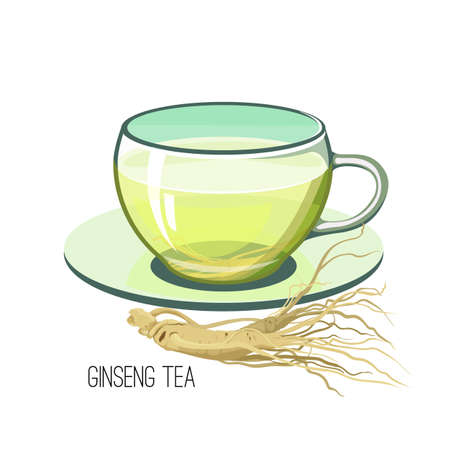 Ginseng tea. Health herb food medicine concept on white background. Vector illustrationのイラスト素材