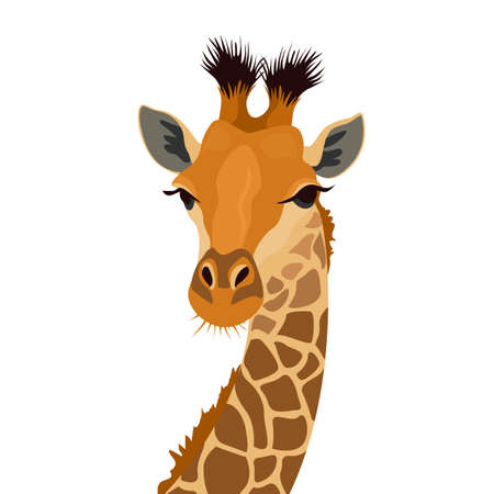 Giraffe head isolated on white. African animal mammal portrait. Vector illustrationのイラスト素材