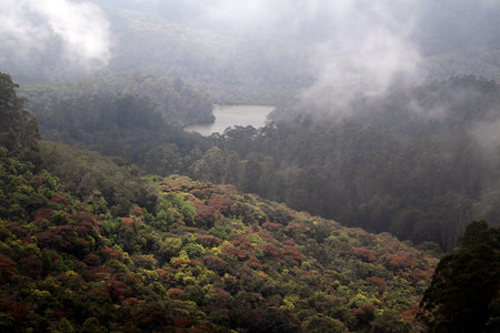 Berijam lake view,Kodaikanal,Tamilnadu,India