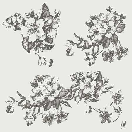 Vintage Pen and Ink Flowersのイラスト素材