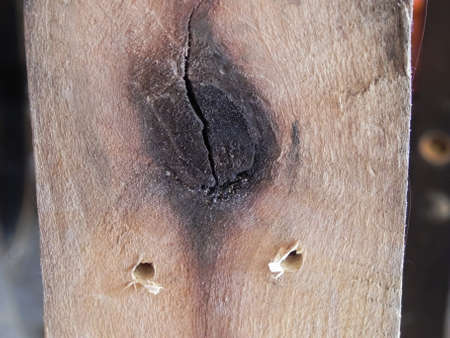wood plank with dark knot and nail holsの写真素材