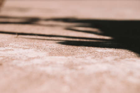 Shadow of a tree on the concrete floor. Selective focus.の写真素材