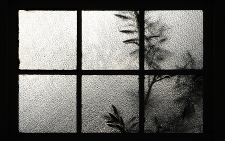 tree behind a window Texture of frosted glassの写真素材