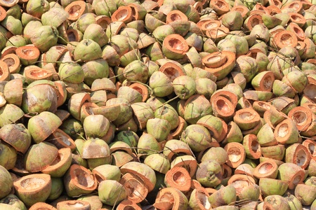 Pile of discarded coconut husk in Thailand coconut form の写真素材